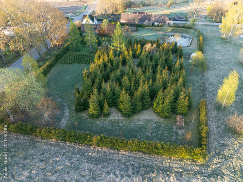 Fotografía A spruce hedge around the property. Aerial photo.