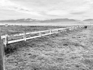 A dramatic black and white photograph of a wooden fence bordering a wide cow pasture in the coastal countryside of Point Arena.