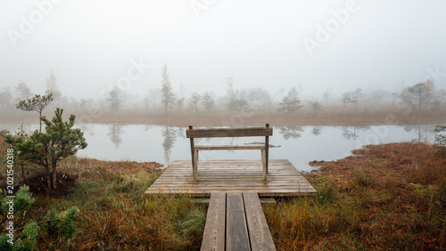 bench on the lake