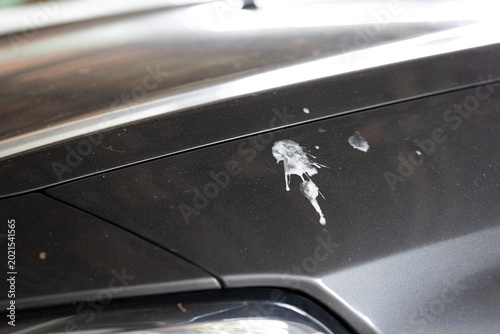Foto Bird droppings on a gray car surface, conceptual image symbolizing bad luck, frustration, annoyance, dirt, and unexpected everyday problems