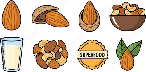 Healthy Nuts and Almond Milk Icon Set Featuring Raw Almonds in Shell Cashew Nuts Superfood Badge and Glass of Nut Milk for Vegan Organic and Superfood Nutrition Designs