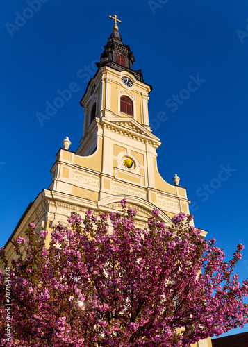 The Moon Church (Dormition of the Mother of God) Above Japanese Cherry Blossoms, Oradea, Romania
