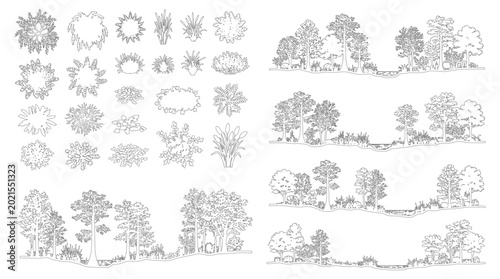 Foto Minimal CAD Landscape Elements & Tree Section Drawings, Vector Outline Set for A