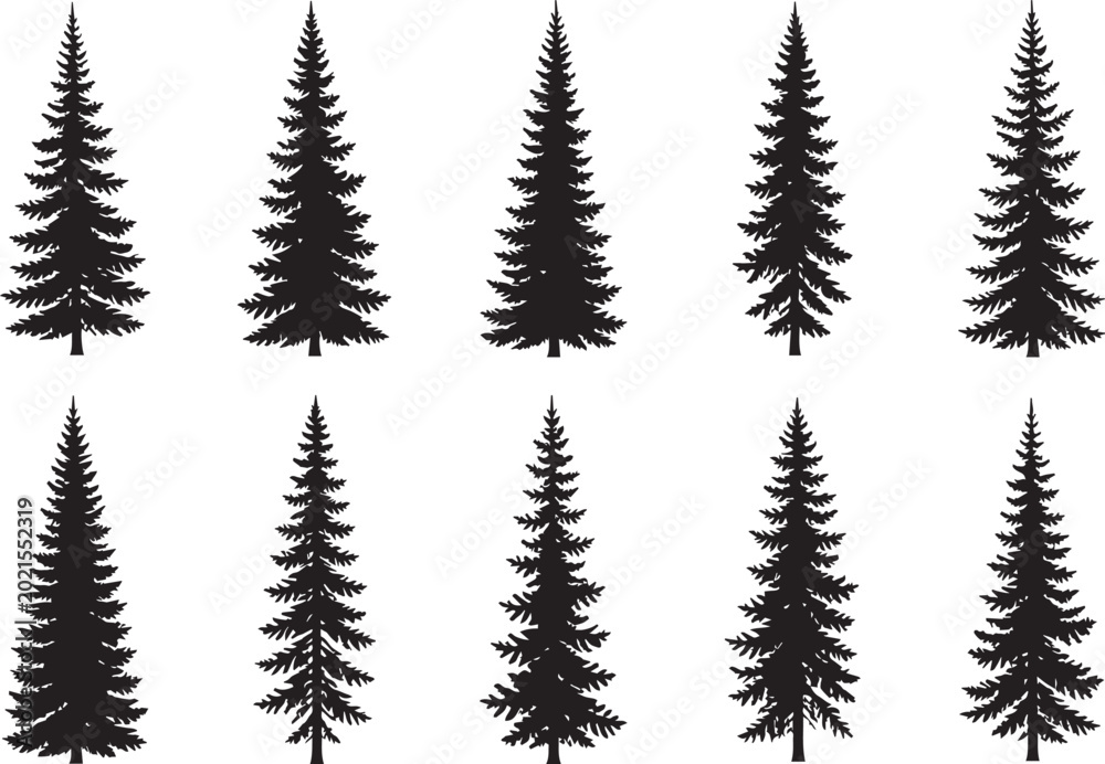 Obraz premium Fir trees silhouette vector set, black evergreen pine forest, woodland nature landscape