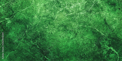 Bild auf Leinwand A striking abstract close-up shot of luxurious emerald green marble, showcasing its natural patterns and veins