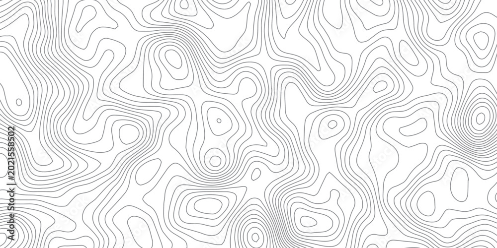 Fototapeta premium Abstract black and white topographic contour pattern featuring flowing terrain curves and wavy lines that resemble wood grain or fingerprint textures in a clean modern map style design.