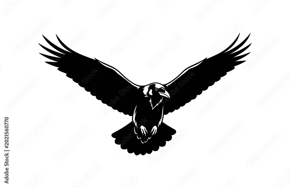 Fototapeta premium Raven in Flight Silhouette