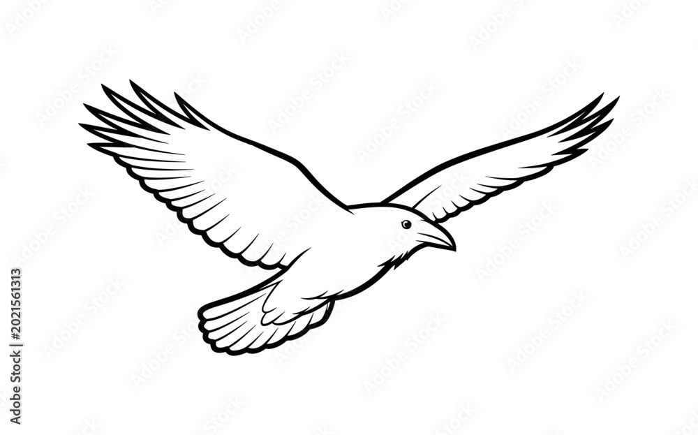 Fototapeta premium Raven in Flight