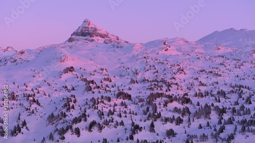 Sunset lights in the Mountain Black Pine (Pinus uncinata) forest in Larra, Navarrese Pyrenees. Isaba, Roncal Valley, Navarre, Spain, Europe.