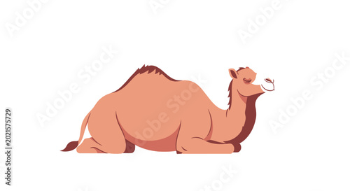 Canvas Print Funny cartoon camel resting on white background, illustration