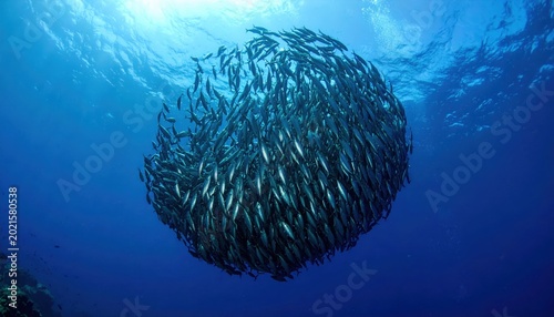 A massive school of iridescent sardines swirling in unison, creating a shimmering vortex underwater in the deep blue ocean.