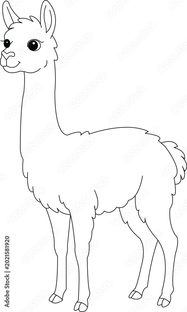 Obraz premium vicuna coloring page for kids