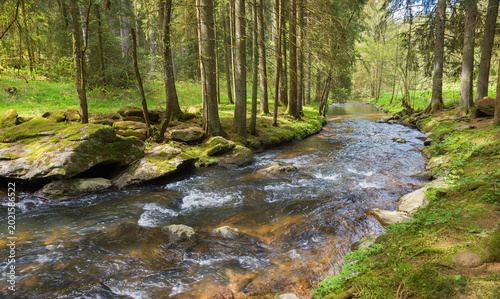 Bild auf Leinwand small river or creek Aitnach, Liebestal valley near Viechtach, lower bavarian la