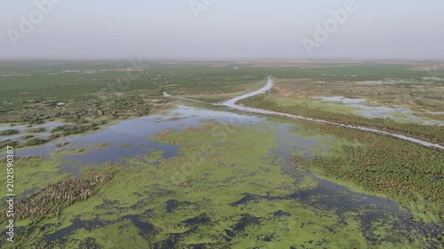 Hawizeh Marsh

Hawizeh Marsh seasonal wetland Iraq