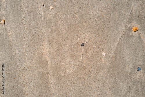 Soft Beach Sand Texture with Sparse Pebbles and Flow Lines