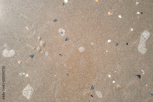 Coastal Sand Surface with Foam Residue and Natural Debris