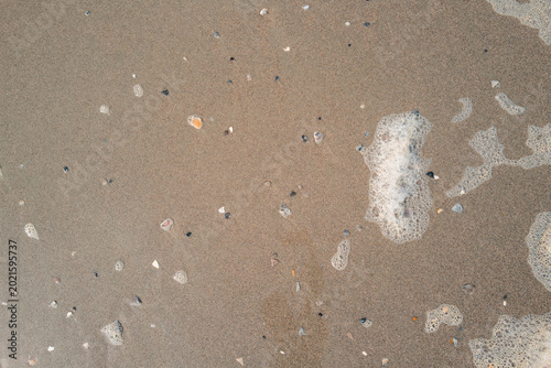 Shoreline Sand Texture with Sea Foam and Small Stones