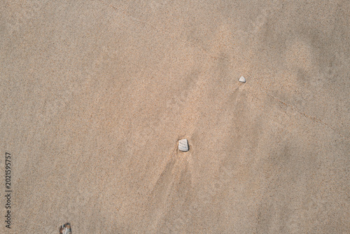 Sand Texture with Single Stone and Wind-Formed Ripples