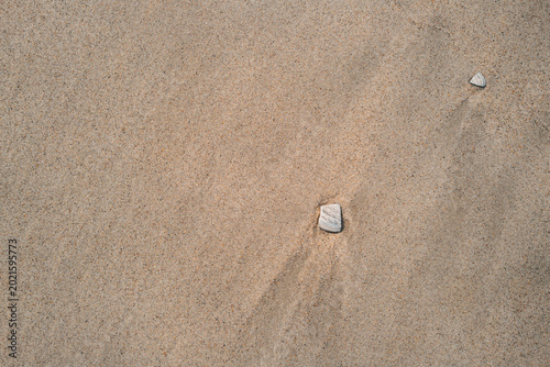 Minimal Sand Background with Isolated Pebble Detail