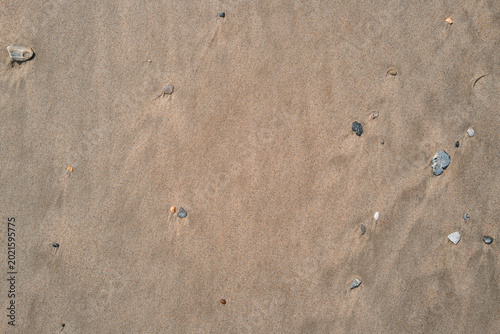 Natural Sand Texture with Scattered Stones and Soft Lines