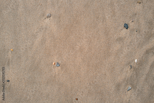 Beach Sand with Organic Ripple Patterns and Pebbles