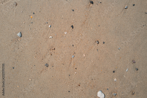 Minimal Sand Background with Pebble Detail