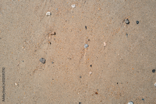 Coarse Sand Texture with Dense Grain and Natural Debris