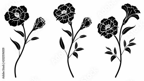 Black floral graphic design with three blooming flowers and leaves on transparent background