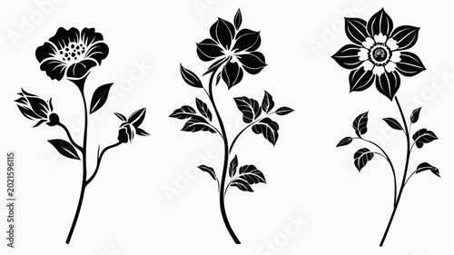Black floral vector illustrations of three blooming flowers on transparent background
