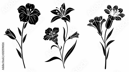 Black floral vector illustration of lilies and flowers on transparent background