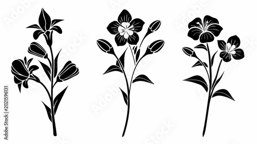 Black floral stems with leaves and flowers on transparent background