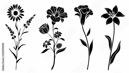 Black floral illustrations set of flowers and plants on transparent background