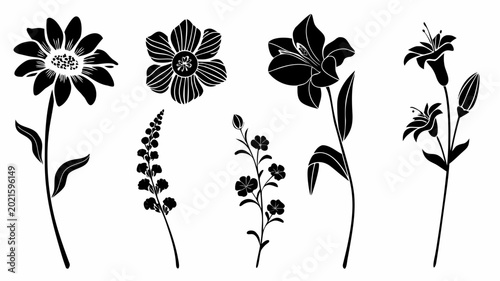 Black floral designs with various flowers on transparent background
