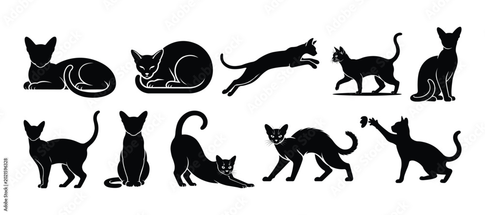 Fototapeta premium Minimal Black Abyssinian Cat Silhouette Set in Different Poses Vector Collection