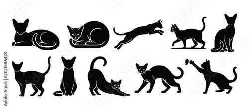 Bild auf Leinwand Minimal Black Abyssinian Cat Silhouette Set in Different Poses Vector Collection