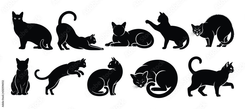 Obraz premium Burmese Cat Silhouette Collection – Elegant Short Hair Feline in Various Poses Vector Set