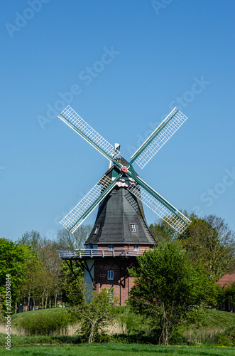 Traditional windmill in Greetsiel, surrounded by green trees and grass under a clear blue sky in a rural landscape.