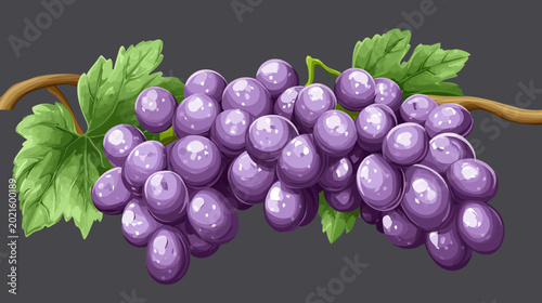 Illustrative artwork of a bunch of purple grapes with green leaves