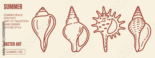 Fotografie Four hand drawn outline style seashells in brown on a cream background conch spi