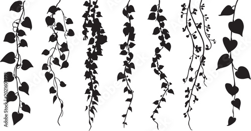 A series of seven black silhouette illustrations of cascading vines and branches, featuring detailed leaf structures and natural growth.