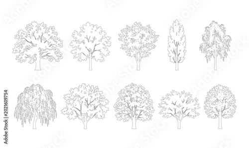 Tableau sur toile CAD line art deciduous and weeping willow tree side view elevation set, outline round oval and columnar canopy tree symbols for architectural landscape design plans