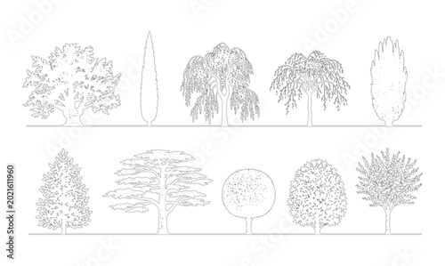 Tableau sur toile CAD line art mixed tree side view elevation set, outline oak, weeping willow, cypress and columnar tree symbols for architectural landscape design plans