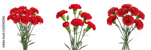 Quadro su tela Bouquet of Fresh Red Carnation Flowers with Long Green Stems in Glass Vase Isola