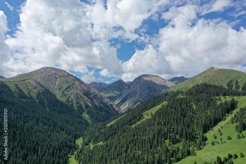 Mountain Peaks Rise Amid Lush Forests Under Cloudy Blue Sky