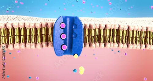 Sodium-potassium pump in cell membrane maintains ion balance and powers cellular transport - 3d illustration