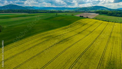 Aerial view of vibrant yellow rapeseed fields and rolling green meadows under a cloudy sky with distant hills Pribor, Moravian-Silesian Reg, Czechia.