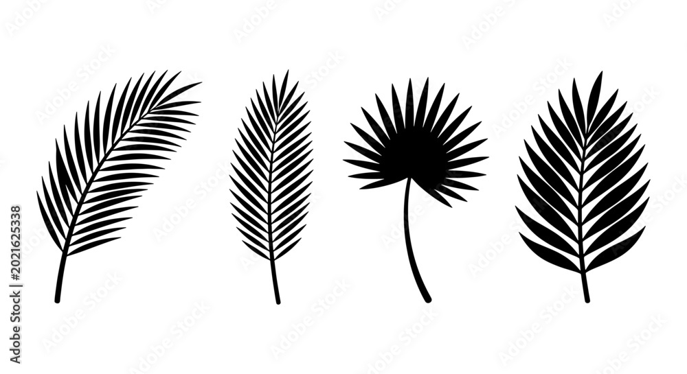 Fototapeta premium Tropical Palm Leaves, Vector Set: Exotic Foliage Silhouettes for Design