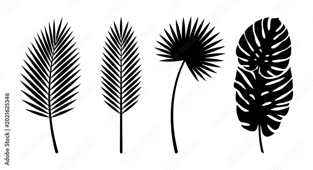 Fototapeta premium Tropical Leaf Silhouettes, Botanical Vector Elements, Exotic Plant Icons