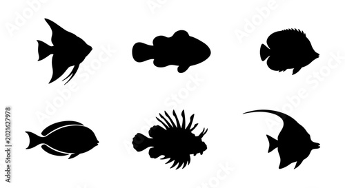 Vector Fish Silhouettes, Marine Life Icons, Aquatic Animal Shapes