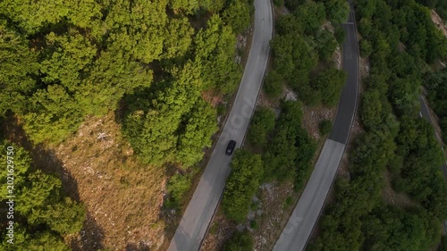 Winding road through lush trees reveals a scenic drive on a sunny day in the countryside, perfect for adventure seekers and nature lovers